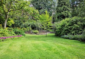 Optimiser l'expérience du jardin à Jeugny